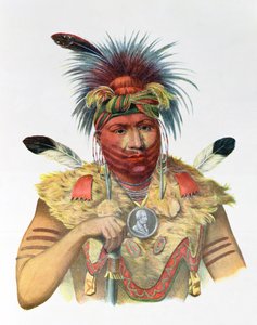 Ne-Sou-A-Quoit, bir Fox Chief, Thomas L. McKenney ve James Hall tarafından yazılan 