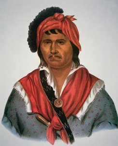 Neamathla Şefi