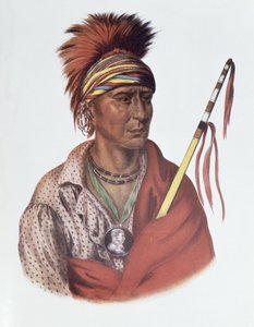 Notchimine or No Heart, an Iowa Chief, 1837, 
