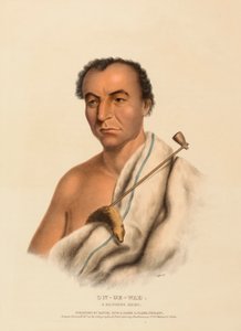  by Charles Bird King