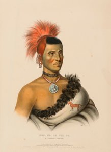  by Charles Bird King