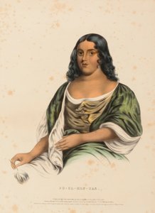  by Charles Bird King