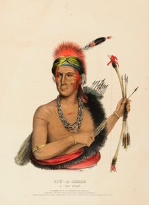  by Charles Bird King