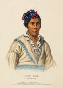  by Charles Bird King