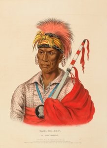  by Charles Bird King