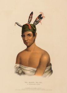  by Charles Bird King