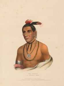  by Charles Bird King