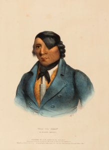  by Charles Bird King
