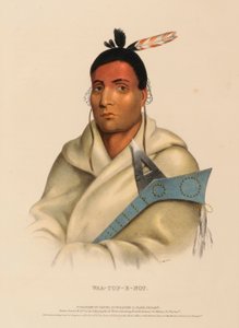  by Charles Bird King