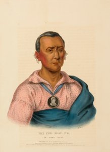  by Charles Bird King