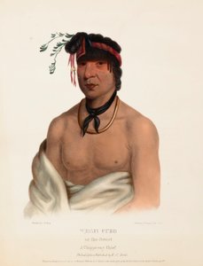  by Charles Bird King