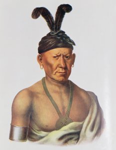 Wakechai veya 