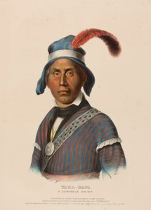  by Charles Bird King
