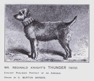 Bay Reginald Knight