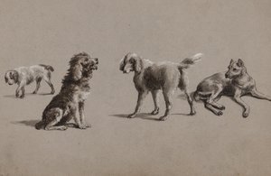 Köpek çalışmaları (kağıt üzerine kalem, fırça, mürekkep ve guaj boya)