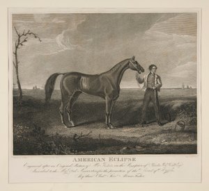 Amerikan Tutulması by Charles Cushing Wright