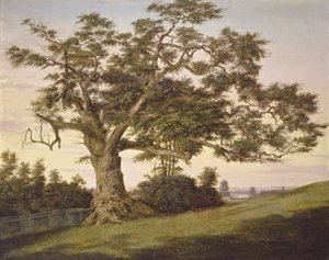  by Charles de Wolf Brownell