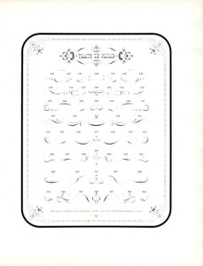 Kaligrafik Süslemeler ve Dekoratif Unsurlar (baskı)