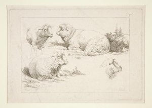 Koyun Çalışması by Charles Echard