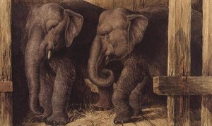 iki fil by Charles Edward Brittan