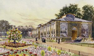 Londra Hayvanat Bahçesi: Maymun Evi (renkli taş)