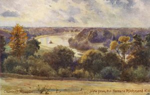  by Charles Edwin Flower