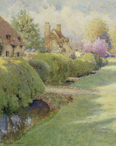 Kutu Çit, Warborough, Oxon