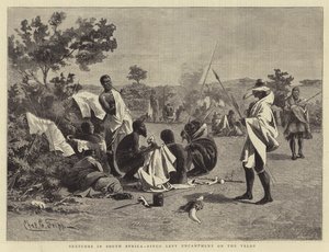 Güney Afrika