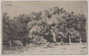 Fontainebleau Ormanı