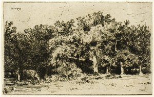 Fontainebleau Ormanı