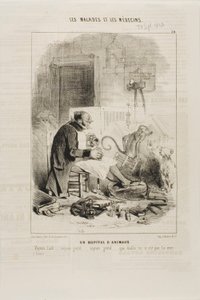 Bir Hayvan Hastanesi (levha 20) by Charles Emile Jacque