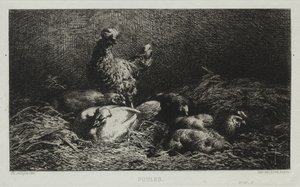 tavuklar by Charles Emile Jacque