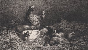 Tavuklar, 1867.