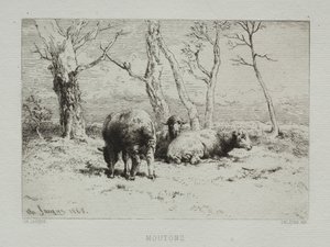 Koyun, 1868.