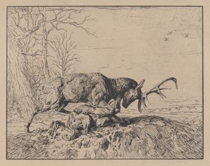 Bir Kurtla Dövüşen Geyik, Antoine Louis Barye