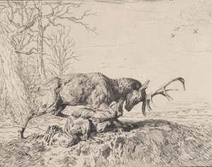 Bir Kurtla Dövüşen Geyik, Antoine Louis Barye