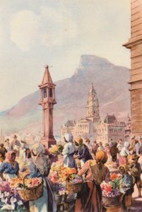 Güney Afrika: Çiçek Satıcıları, Capetown (renkli lito) by Charles Ernest Peers