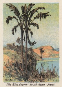 Güney Afrika: Mavi Lagün, Güney Sahili, Natal (renkli lito) by Charles Ernest Peers