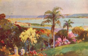 Natal Limanı, Durban (renkli taş baskı)