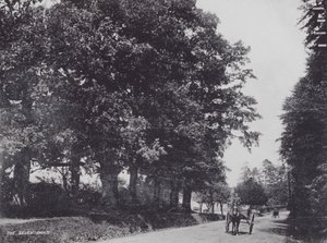 Seven Oaks (s/b fotoğraf) by Charles Essenhigh Corke
