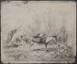 Tarlada Bir Eşek by Charles Francois Daubigny