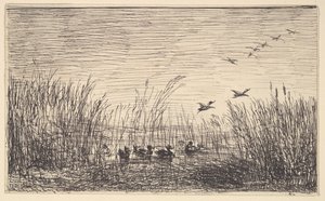 Bataklıklarda Ördekler, [1862], 1921