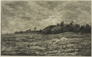 Villerville'deki Pre des Graves (Calvados) by Charles Francois Daubigny