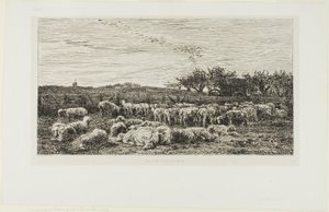 koyun ile çayır by Charles Francois Daubigny