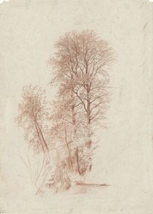 Yapraktaki iki ince ve bazı küçük ağaçların incelenmesi by Charles Francois Daubigny