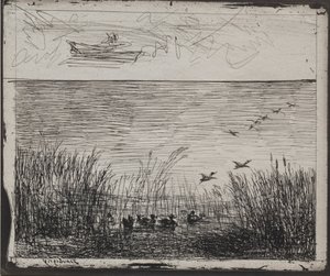 Bataklık Ördekler, orijinal izlenim 1862, 1921