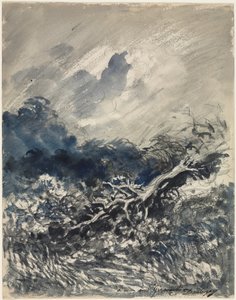 Meşe Ağacı ve Kamış, c. 1873 (mavi ve siyah yıkama) by Charles Francois Daubigny