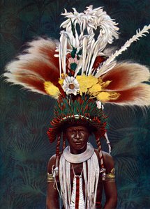 Bir tören dansı için giyinmiş bir Roro şefi, Papua Yeni Gine, 1920. by Charles Gabriel Seligman