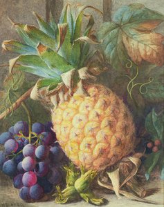 Bir Ananas ve Üzüm Natürmort