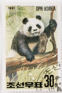 Pul/Kuzey Kore/Ailuropoda melanoleuca/Grand panda/Dev Panda